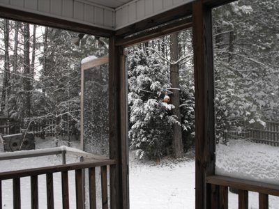 ./2010/Snow/thumbFeb